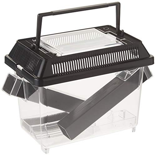 Exo Terrra Cricket Pen, Behälter mit Spenderröhrchen, Pflegeset für Grillen, klein, 18 x 14 x 11cm