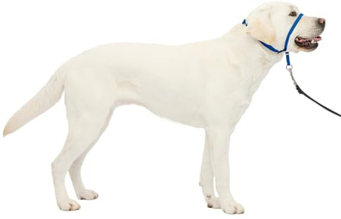 PetSafe Gentle Leader Hundehalfter gegen Ziehen, die ultimative Lösung zum Ziehen, leitet das Ziehen Ihres Hundes für einfachere Spaziergänge um, hilft Ihnen, die Kontrolle wiederzuerlangen, Größe L,