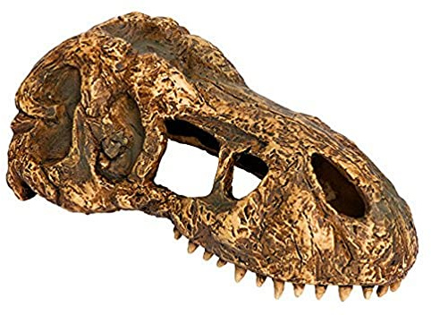 Exo Terra T-Rex-Schädel, sicheres Versteck für Reptilien und Amphibien, klein, 1 Stück (1er Pack)