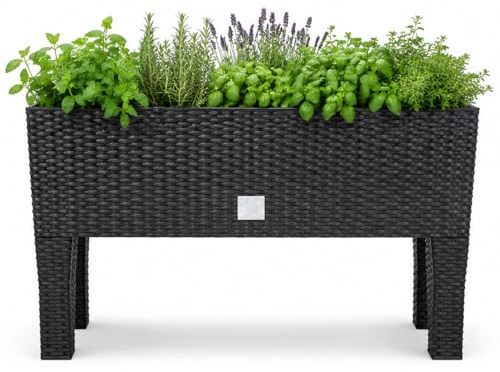 Deuba® Hochbeet 2in1 Funktion Balkonkasten 30L Bewässerungssystem mit abnehmbaren Füßen Polyrattan Beet Garten Balkon Kunststoff Anthrazit 60x25cm