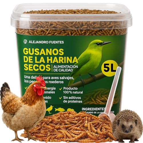 AF® Mehlwürmer Vogelfutter Getrocknet 800g, 5L Mehlwürmer Getrocknet Wildvogel Amsel 52% Protein, Snack Natürlich für Igel, Rotkehlchen und Reptilien, 100% Natürlich ohne Zusätze mit Zip
