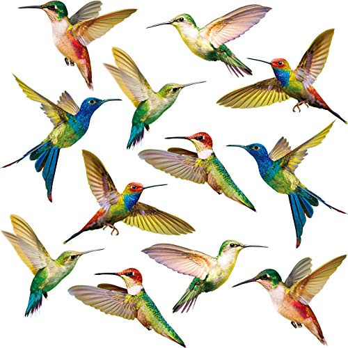Blulu Kolibri Fenster Haftet Vogel Aufkleber Anti-Kollision Abziehbildern, Um Vogelschläge Auf Glas Zu Verhindern (18 Stücke)