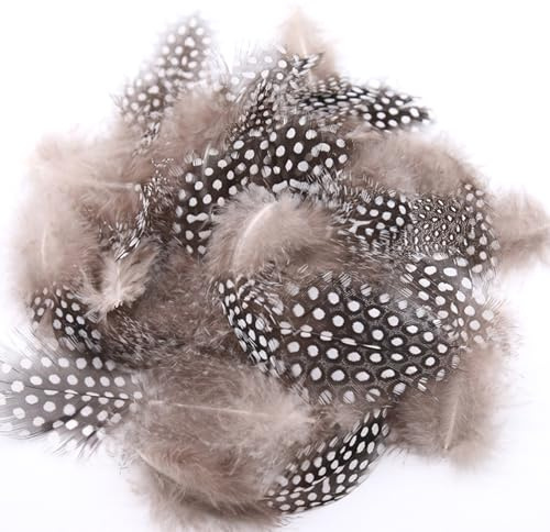 ENLACE Federn zum Basteln, 200 Stück Perlhuhnfedern, 4,5-10 cm Natürliche Gesprenkelte Federn, Bastelfedern für DIY Ohrring Hochzeit Traumfänger Kopfschmucksfedern, Natürliche Farbe
