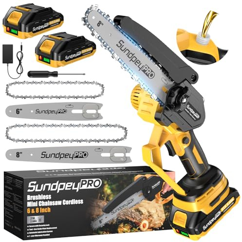 8 & 6 Zoll Mini Kettensäge mit Akkus 2x2,0Ah - 21V Bürstenlose Akku Kettensäge mit Öler & Werkzeugloser Kettenspannung, Handkettensäge, Akku-Astsäge zum Beschneiden von Holz, Ästen