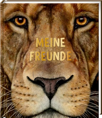 Freundebuch – Meine Freunde: Lebensgroß - Wilde Tiere Afrikas: Das Safari-Freundebuch für Mädchen und Jungen