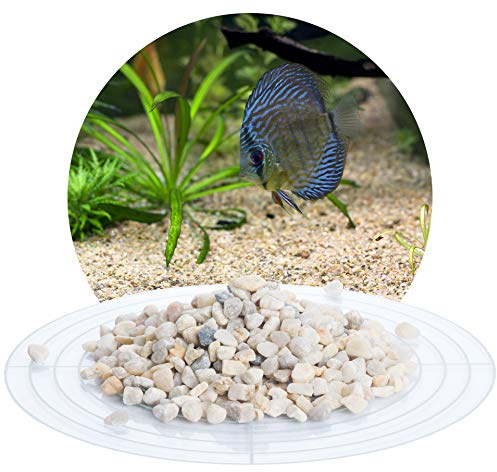Schicker Mineral Aquariumkies beige 25 kg, grober Aquariumsand gewaschen, ungefärbt, kantengerundeter Bodengrund, Kies für Süßwasseraquarien, Meerwasseraquarien, Aquascaping (Ø Körnung: 5,6-8,0 mm)