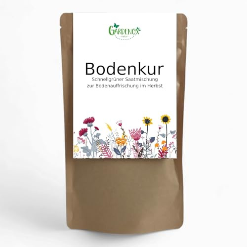 Bodenkur Gründüngung mit Schnellgrünern 200 Gramm für 40 qm Bodenfläche Samenmischung mit Phacelie, Gelbsenf, Inkarnatklee, Saatwicke