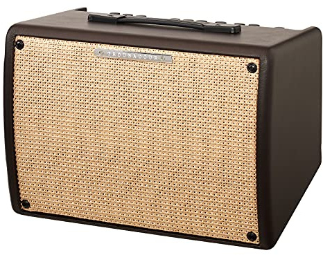IBANEZ Akustikverstärker Troubadour - 30 Watt (T30II)