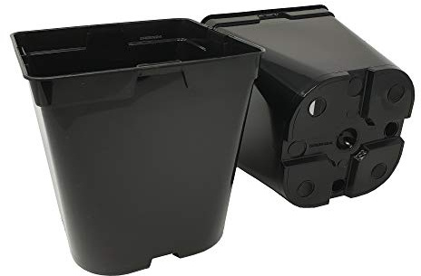 GREEN24 10 Stck. Pflanztöpfe 3 L (16,0 x 16,0 x 16,5 cm) große Vierecktöpfe Profi XL Anzuchttöpfe Pflanztöpfe Blumentöpfe Vierkant-Töpfe
