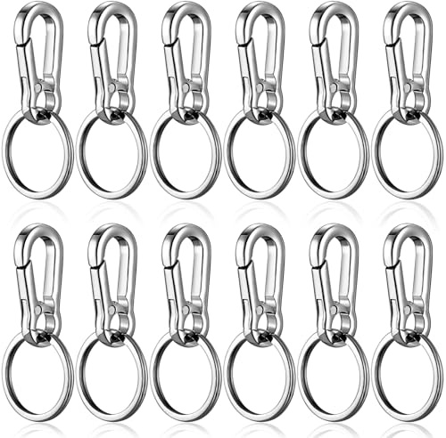 benlidoner 12 Stück Metall Karabiner Schlüsselanhänger Zinklegierung | Schlüsselringe mit Karabiner Karabinerhaken Schnellverschluss Keychain Robuster Autoschlüsselhalter für Herren und Damen