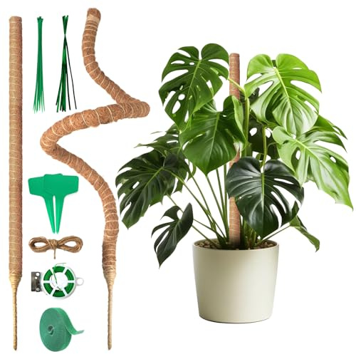 Monstera Rankhilfe 120 cm (2er Set) - Flexible Moosstab für Monstera aus Kokosfaser inkl. Zubehör und Pflanzenstütze für Kletterpflanzen im Innenbereich