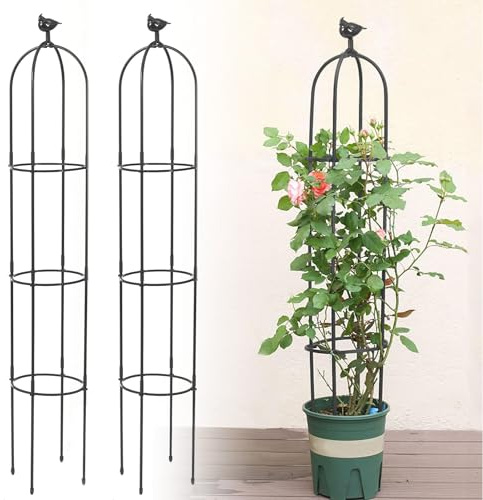 2 Stück Gartenspalier für Kletterpflanzen, Kalolary 6 Fuß Schwarzer Gartenturm-Obeliskspalier Rostfreies Metall Topfpflanzen-Kletterstütze für Drinnen und Draußen Blumen Gemüse Obst Weinreben