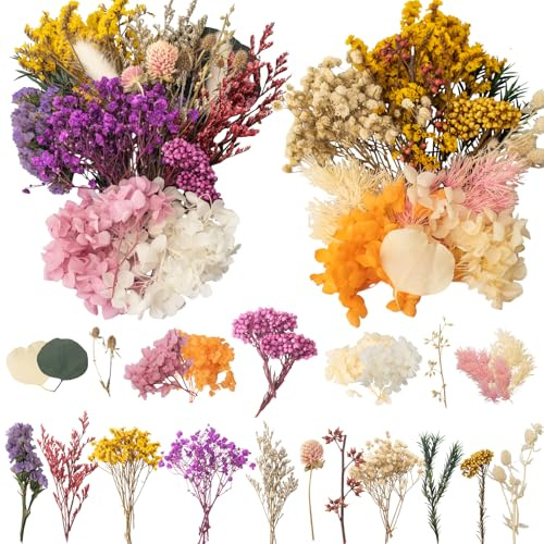 LAUMOE 2 Sätze Trockenblumen Klein, Trockenblumen zum Basteln, Getrocknete Blumen Deko für Kunst Basteln Dekoration