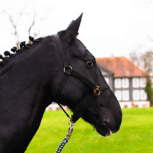 Pferdelinis Halfter für Pferd Warmblut, Vollblut, Kaltblut – Stallhalfter, Weidehalfter, 2 Fach verstellbar an Kinnriemen und Genickstück, sicher & reißfest (Schwarz, Warmblut (Full))