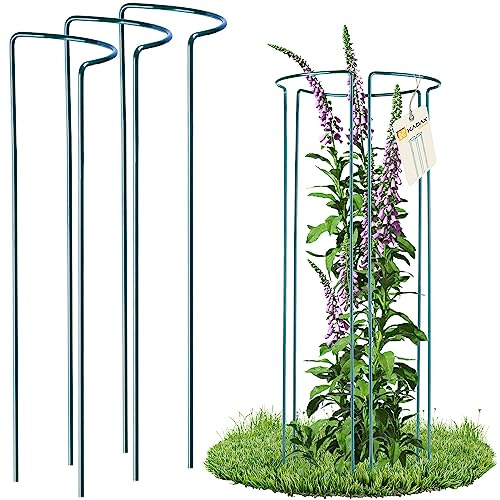 KADAX 3er Set Pflanzenhalter, Pflanzenstütze aus Stahl, halbrunde Rankhilfe für Pflanzen, Garten, wetterfester Blumenhalter, Staudenhalter, Strauchstütze, Blumenstütze, freistehend (Höhe: 75 cm)