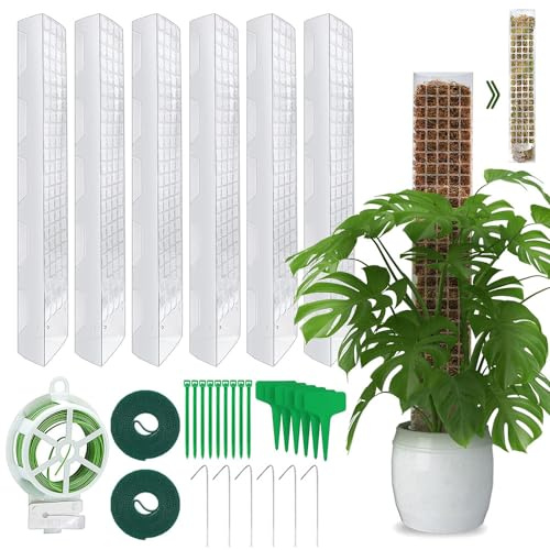 Moosstab Rankhilfe 6 Stück 61cm, Rankhilfe Zimmerpflanzen, Rankstab Monstera, Mit 6 Erdspieße, 2 Klettbändern, 30m Garten Drehbinder, 10 Pflanzenetiketten und 10 Kabelbinder.