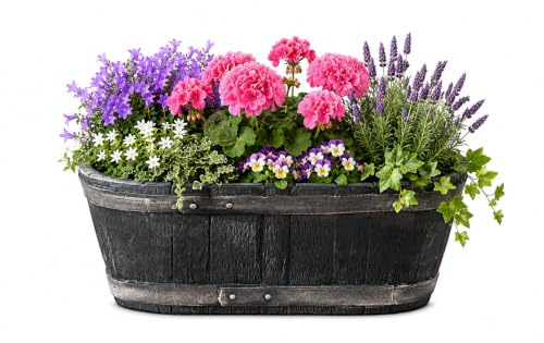 BigDean Weinfass Eichenfass Oval Blumenkasten 58x31x24cm Miniteich | Bottich Kunststoff Trog Zuber Gartenteich Mini Teich Fass Nachbildung Maße Länge 58cm Breite 31cm Höhe 24cm