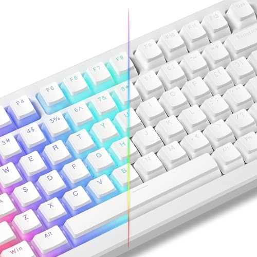 LQXQ Pudding Keycaps PBT 130 Tasten, Shine Through Tastenkappen, OEM Profil | für 100%, 75%, 65%, 60% MX-stem Switches Tastatur, Weiß (ISO DE Nicht unterstützt)