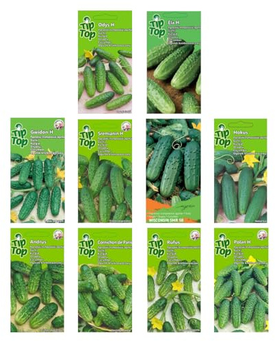 Nojus Gurken Samen Set – 10 Sorten – Verschiedene Gurkensamen Starter Kit - 10 Packen – Garten Samen Pflanzen Saatgut – Samen Gemüse Box 10 Sorten – Saatgut Box – Saat/Seeds