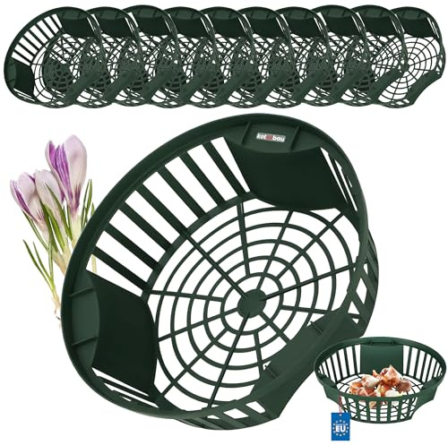 KOTARBAU® 10er Set Pflanzschale - Blumenzwiebeln Pflanzkorb - Korb zum Pflanzen von Tulpenzwiebeln – ⌀ 215 mm – Korb zum Anbau von Zwiebelgewächsen – für Tulpen