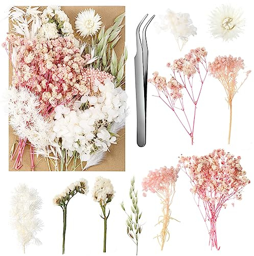aurorayer Getrocknete Blumen,Natürliche Trockenblumen zum Basteln Trockenblumen Deko ​für DIY Epoxidharz Kunsthandwerk,Kerzen Deko,Karten Deko,Scrapbooking,Hochzeitsdekoration (Stil A)