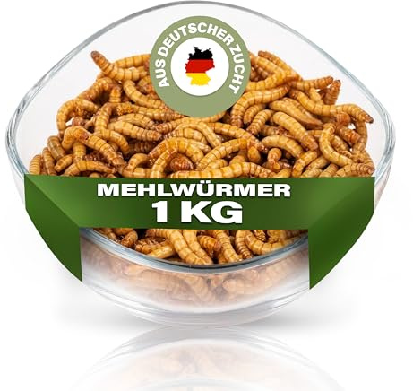 ENTAVA Mehlwürmer 1 kg, lebend, frisch, Vogelfutter, Fischfutter, Igelfutter, Reptilienfutter (Futterinsekten vom Hersteller aus Deutschland)
