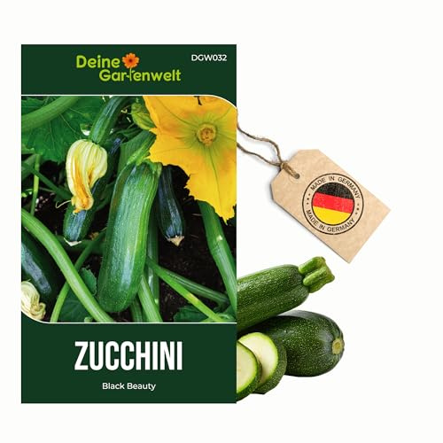 Zucchini Black Beauty Samen - Cucurbita pepo - Zucchinisamen - Gemüsesamen - Saatgut für 8 Pflanzen