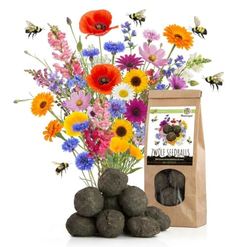 12x Samenbomben für eine bunte Bienenweide - Farbenfrohe & nektarreiche Seedbomb Wildblumensamen für Bienen und Schmetterlinge