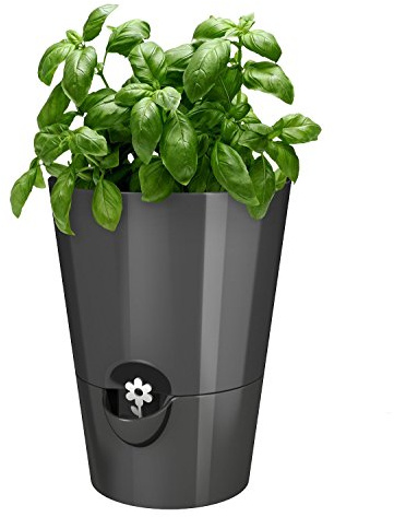 Emsa 514245 Kräutertopf für frische Kräuter, Ø 13 cm, Granit