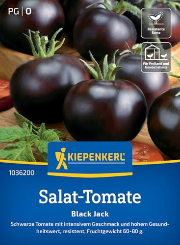 Kiepenkerl Salat-Tomatensamen Black Jack 1036200, Gemüsesaat | Hoher Gesundheitswert, für Freiland, Gewächshaus & Topf