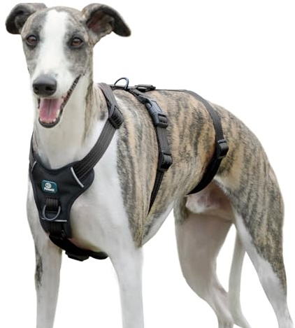 Paworld Sicherheitsgeschirr Hund, Anti Zug Hundegeschirr, Panikgeschirr für Hunde, Ausbruchsicheres Geschirr Hund, Verstellbare, Atmungsaktiv Weste für kleine, mittelgroße und große Hunde (Schwarz,S)