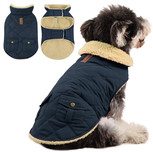 Queenmore Wintermantel Hund Wasserdicht Hundemantel für Kleine Hunde | Warme Hundejacke Winter Quilten Hundebekleidung Winter Hundepullover für Dackel Chihuahua Pudel Bulldogge Beagle Zwergrassen