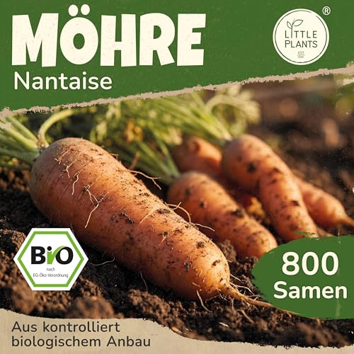 Little Plants BIO Möhren Samen 800 Möhrensamen Nantaise Gemüsesamen Karottensamen für Gemüsegarten Samenfest Gemüse Samen für Küche, Balkon und Garten