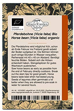 Pferdebohne (Vicia faba) Bio 50 Samen alte Sorte dicke Bohne Saubohne