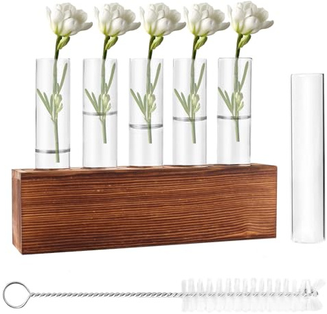 Riisoyu 6 Reagenzgläser Blumenvase, Vermehrungsstation Pflanzen mit Reinigungsbürste Kleine Vasen mit Holzständer Propagation Station Glas Ableger Hydroponik Pflanzen für Tisch Hause Büro Wohnzimmer