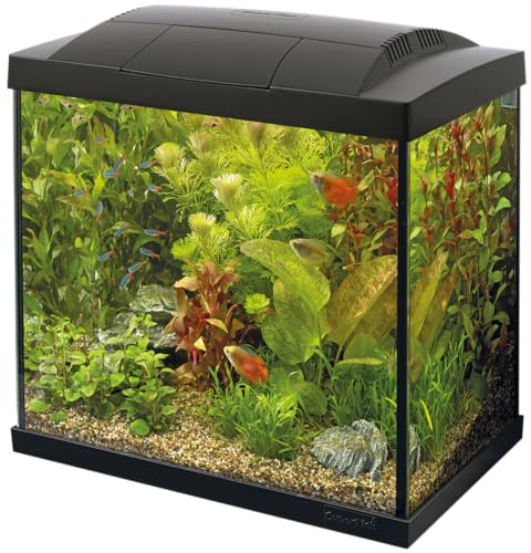 SuperFish SF Tropical Set 30 Aquarium schwarz inkl. Filter, Heizer, Wasseraufbereiter, Kescher, Thermometer und Futter
