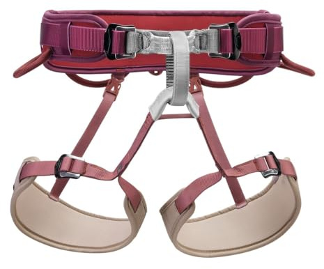 Petzl
