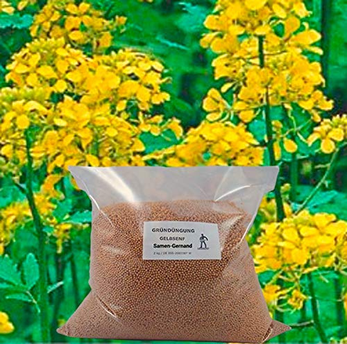 Samen-Gernand Gelbsenf Gründüngung Samen Top Q 5 kg Frische Saat