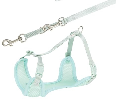 TRIXIE Junior Welpengeschirr für Hunde Gr. S–M, 26–34 cm/10 mm – Mint | Gepolstert & anpassbar, 3-stufig längenverstellbare Führleine – bequemer Start für Welpen & kleine Hunde
