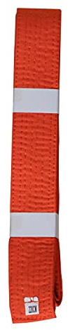 Lisaro kampfsportgürtel Karate Judo Taekwondo Ju Jutsu BJJ Gürtel Gr. 160-300 cm (orange, 240)