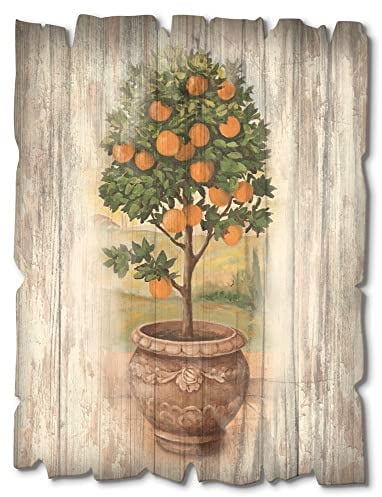 ARTland Wanddeko Bild aus Holz Holzbild vintage Deko 30x40 cm Blumentopf Pflanzen Orangenbaum Toskana Italien Rustikal Vintage U0PV