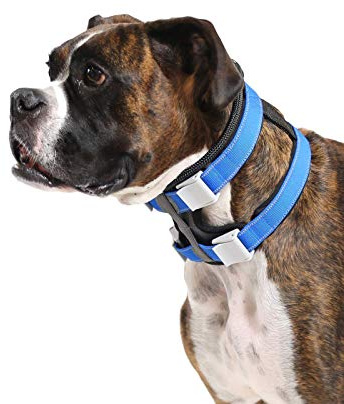 Cesar Millan Pack Leader Collar™ - Trainingshalsband des Hundeflüsterers (Mittel, Blau)