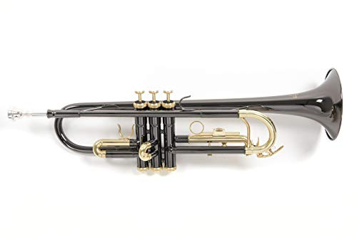 Roy Benson Bb-Trompete TR-101K (ML Bohrung, Edelstahl Ventile, Goldmessing Mundrohr, elegantes Design, im leichten Rechtecketui, mit Rucksackfunktion), Anthrazit