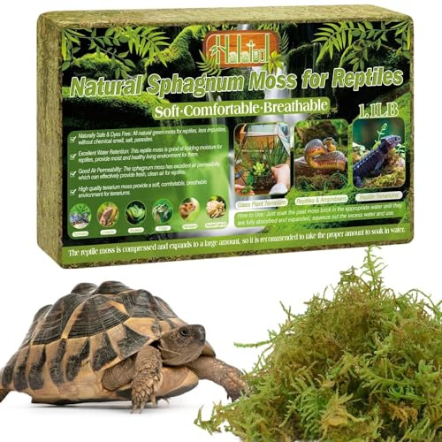 Halatool 500g Premium Sphagnum Moos, Natural Terrarium Moos Block für Reptiles(Leopardgecko, Schlangen, Hamster, Schildkröten, Frösche, Echsen, Salamander), Safe for Plants & Animals