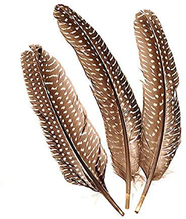 Gütermann / KnorrPrandell 6617980 - Fasanenfedern dunkel-weiß 20cm, 8 Stück/Beutel