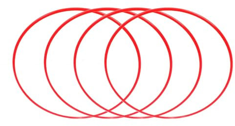 FELGENSCHUTZ AUS ALUMINIUMLEGIERUNG 19 ZOLL ROTER DEKORATIVER RING FÜR AUTONABE