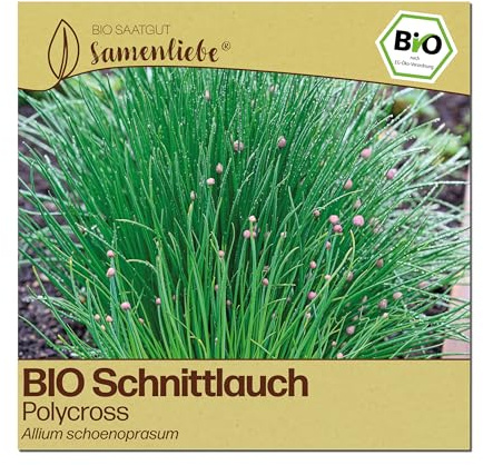 Samenliebe BIO Schnittlauch Samen | Polycross - winterhart & mehrjährig - samenfestes BIO Saatgut
