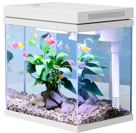 9L Weißglas Fischtank Aquarium mit LED-Leuchten & Filtersystem,Filtermedien, tropischeAquarien (9L)