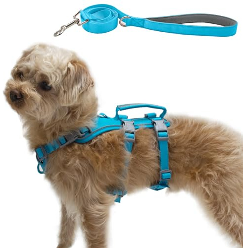 Wuffley Hundegeschirr mit Leine, Sicherheitsgeschirr Hund Ausbruchsicher, Anti Zug Hundegeschirr mit Assistenzgriff und Reflektierende, Leichtes Verstellbare Geschirr für Mittelgroße Hunde (Blau,XS)