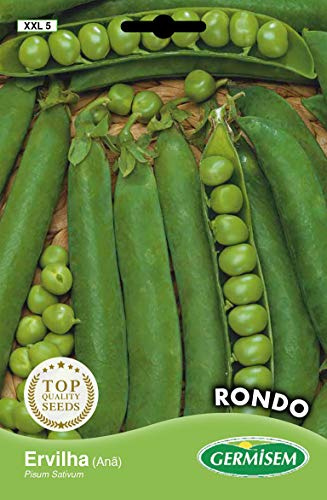 Germisem Erbsen RONDO